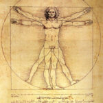 The Vitruvian Man by Leonardo Da Vinci 